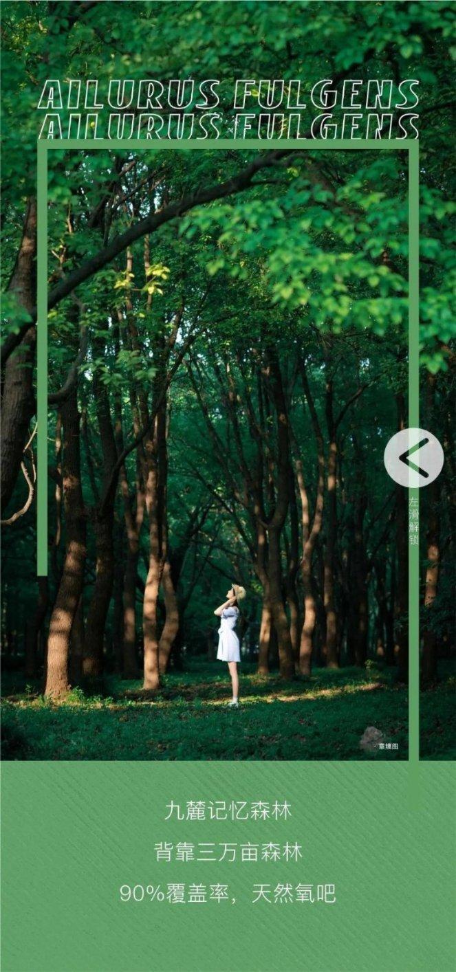 有哪些好用的手机录屏软件?这5款推荐给你