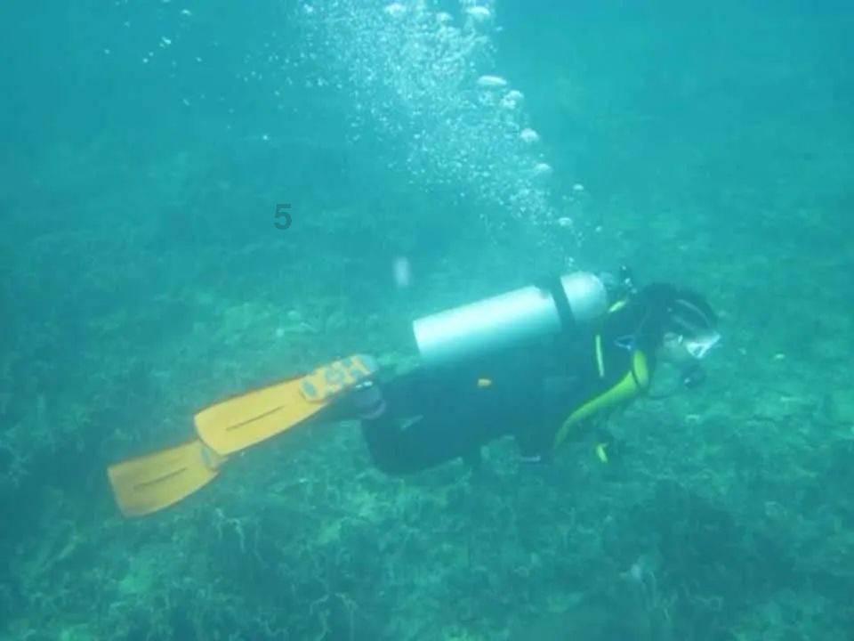 动词游戏