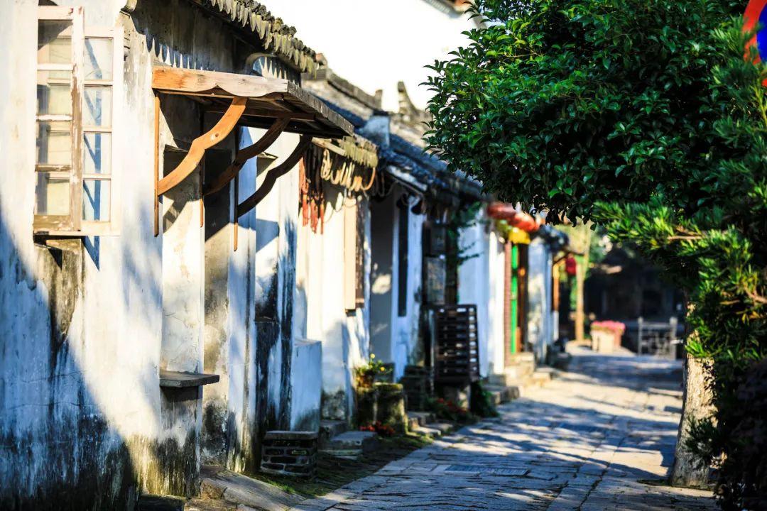 重庆将打造火锅食材、粮油、生态畜牧三大千亿级产业